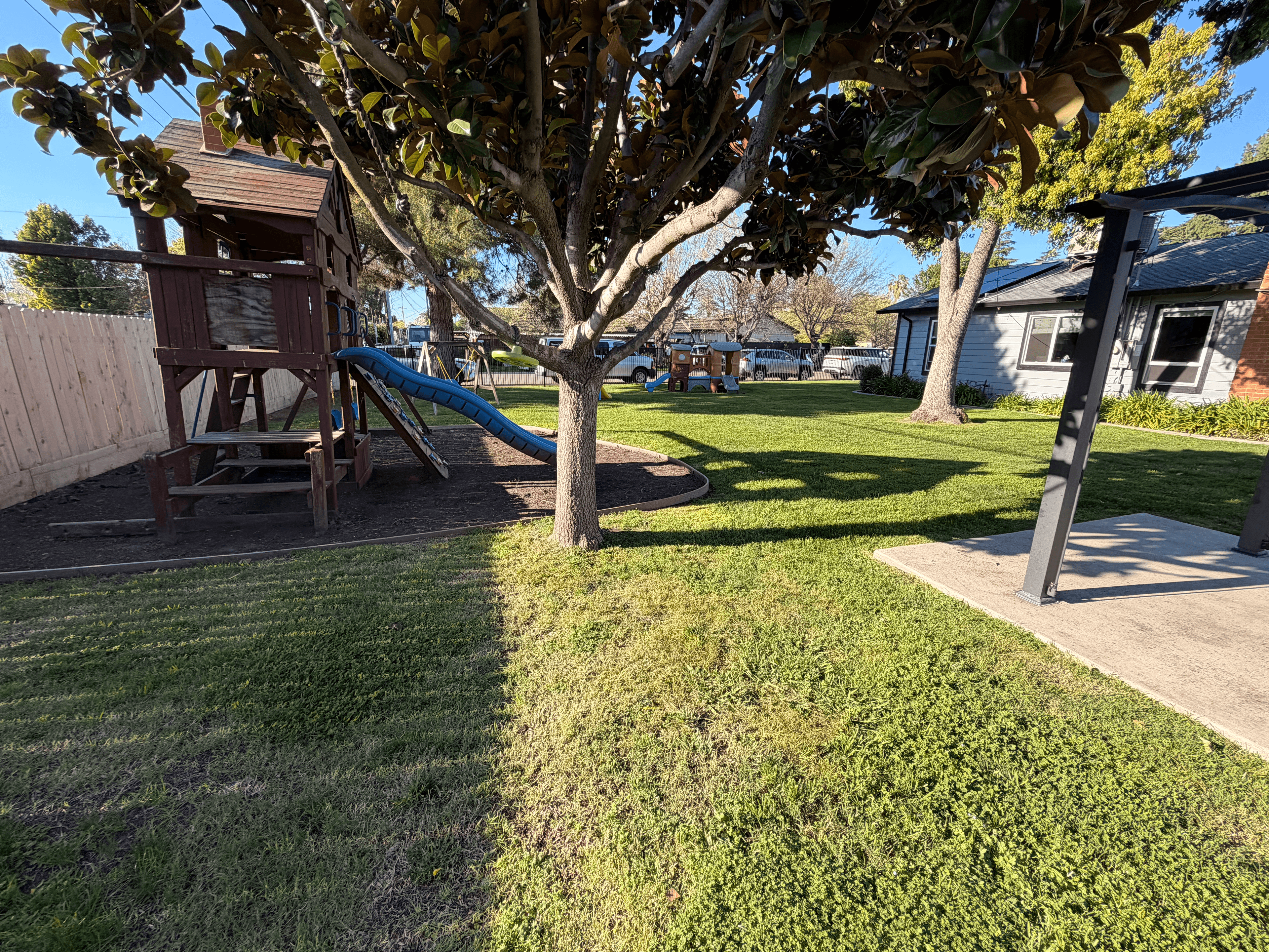 Wooden playset with blue slide in a sunny backyard under a large leafy tree.